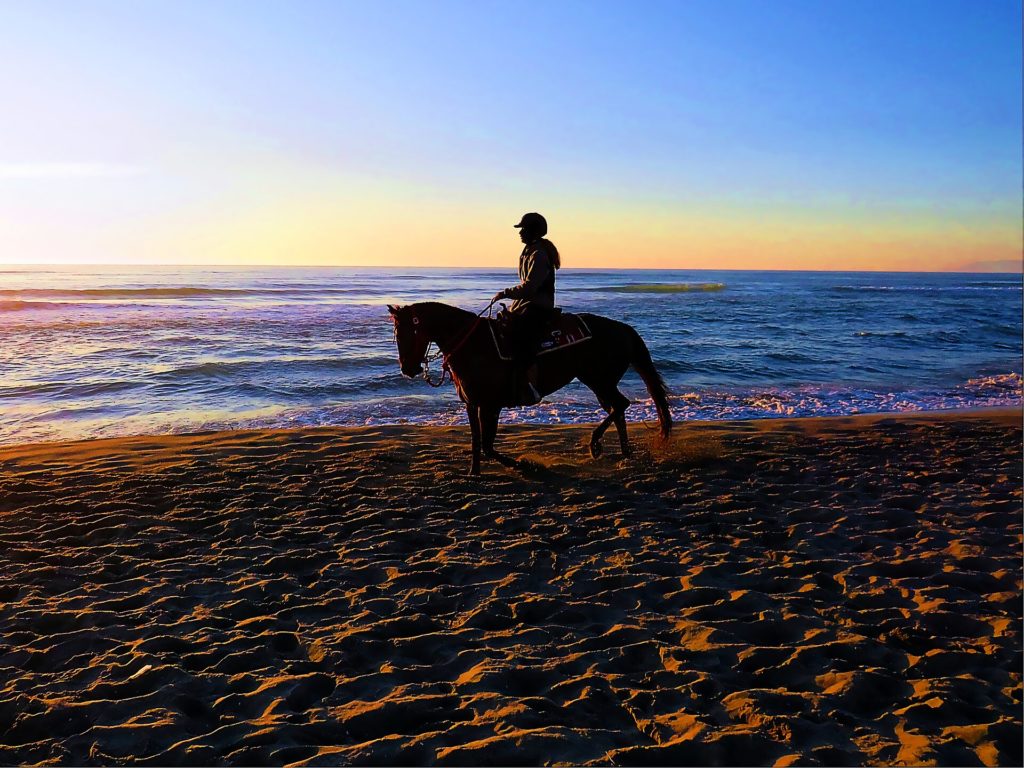 Équitation sur la plage — Le Cadre Noir