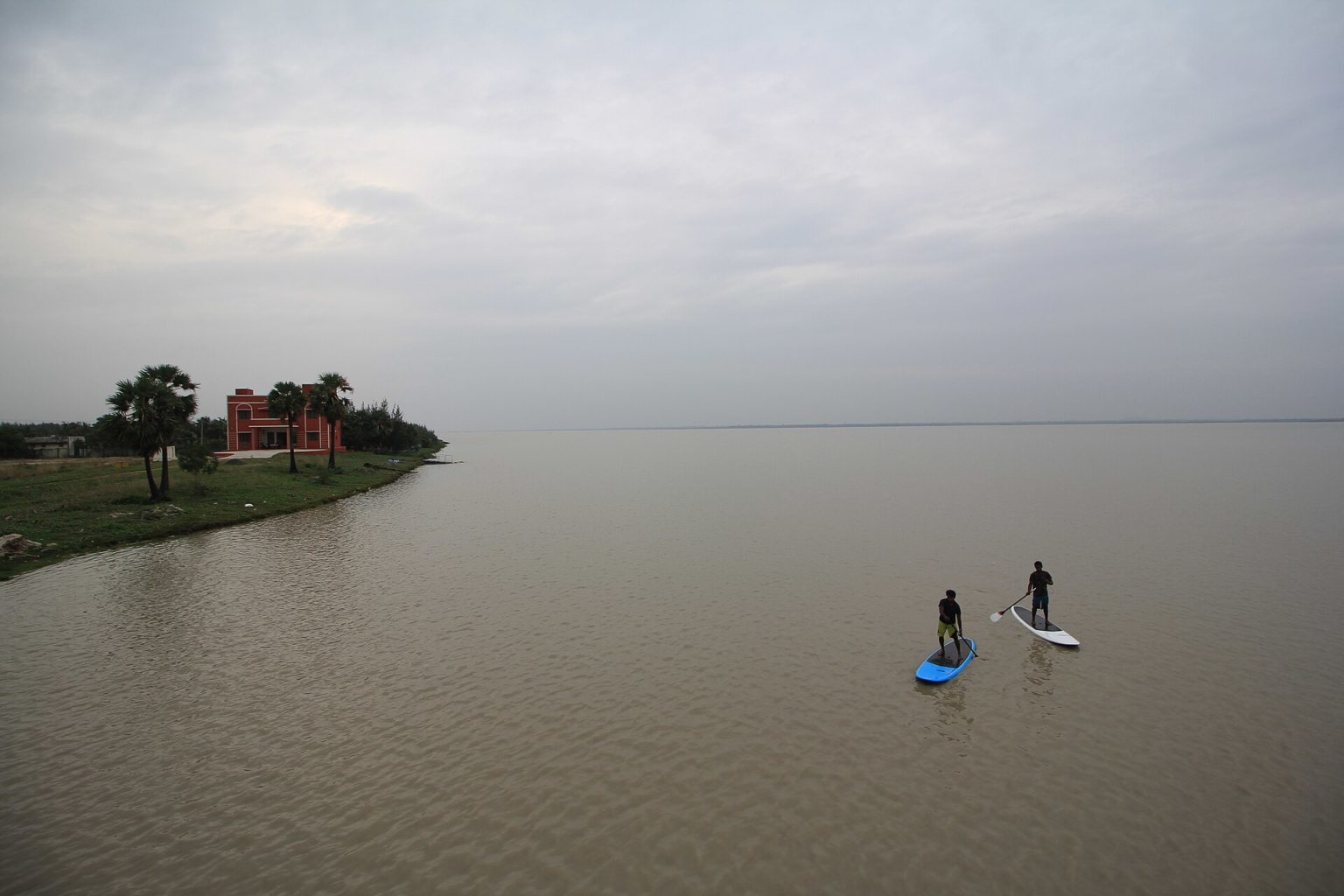 Paddle