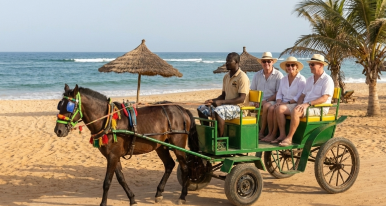 Balade en charrette · Dakar Agency