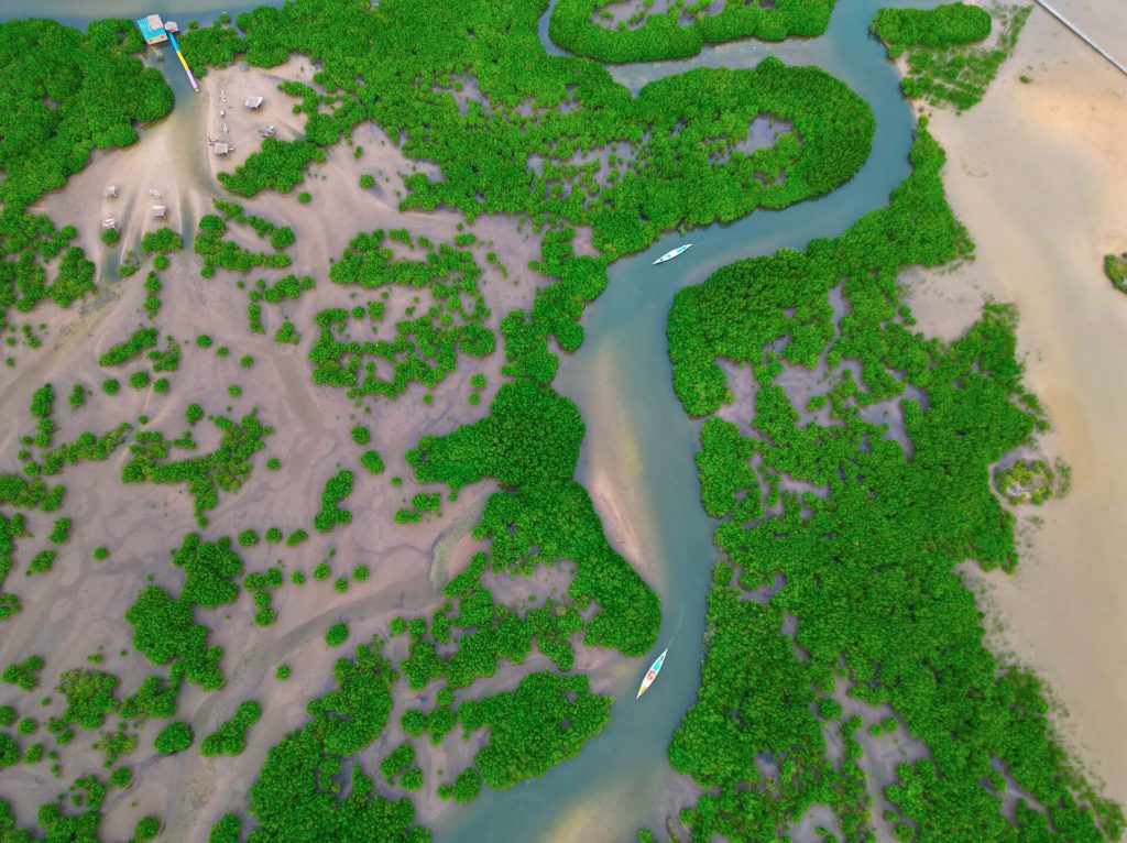 Sine-Saloum