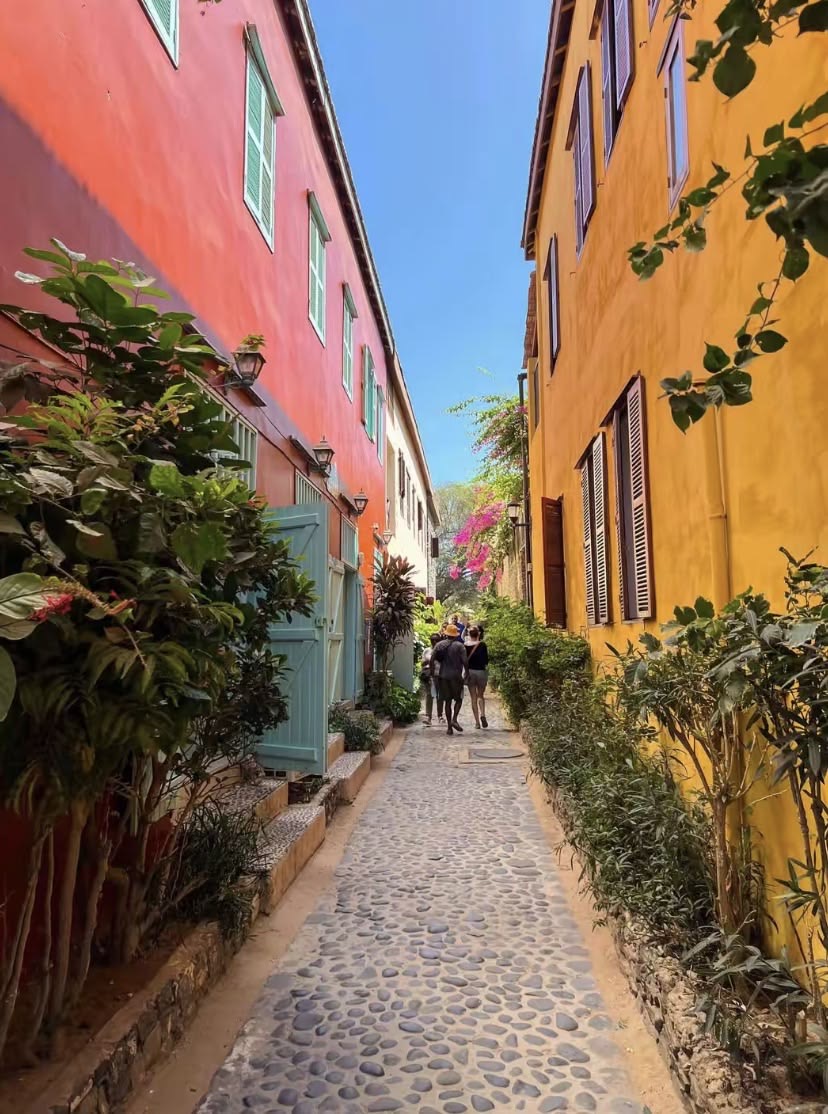 Pack Prestige — Île de Gorée