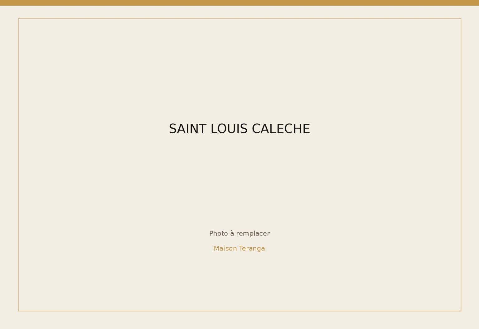 Saint-Louis — Balade en calèche — photo 3