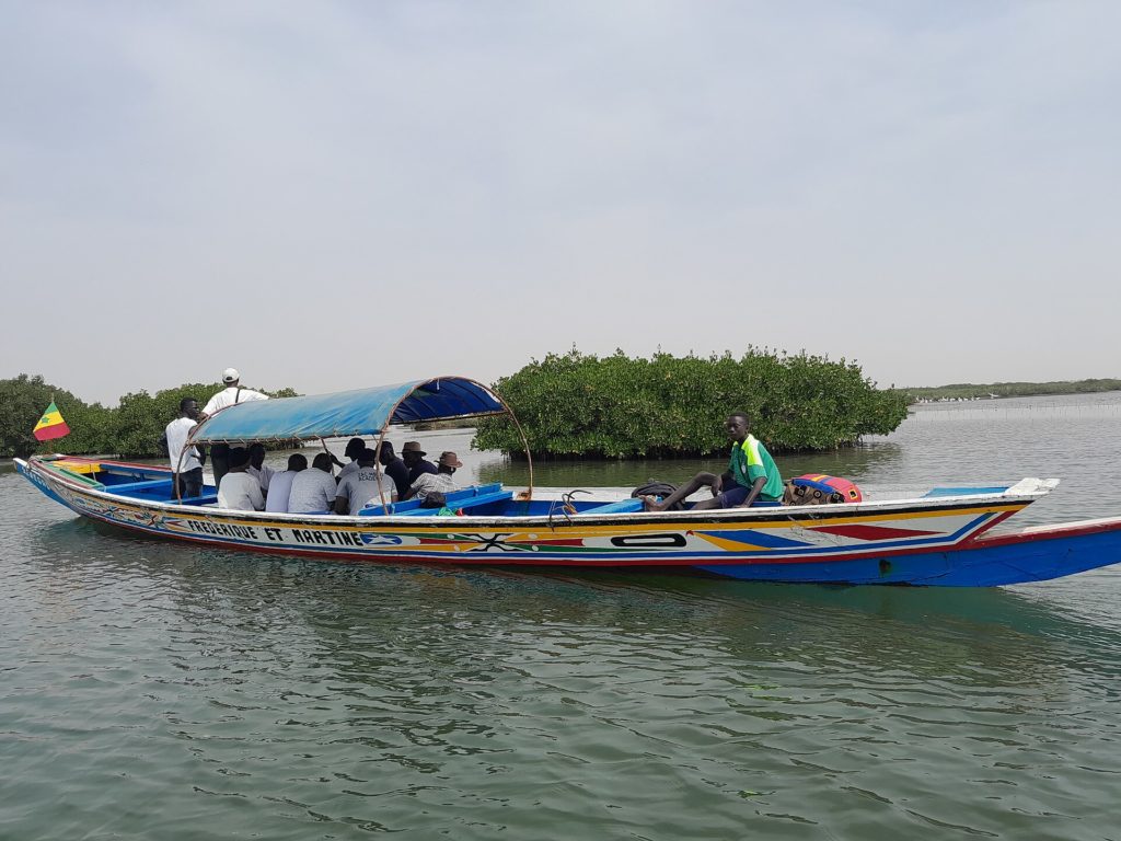 Balade en pirogue
