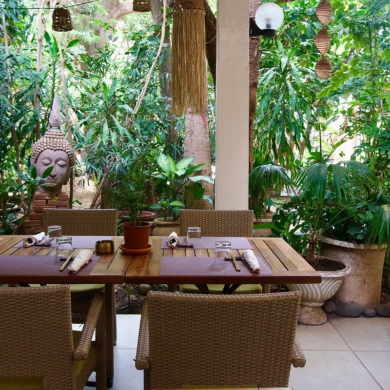 Terra Cotta — Restaurant à Dakar · Dakar Agency